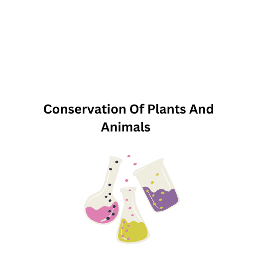  Conservation Of Plants And Animals   